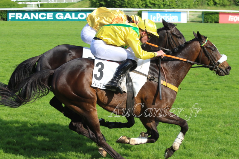 Photos Auteuil 29-04-2023 5j6a6716