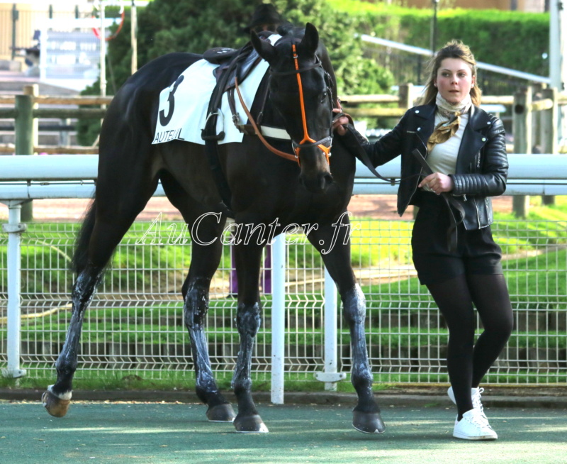 Photos Auteuil 29-04-2023 5j6a6717