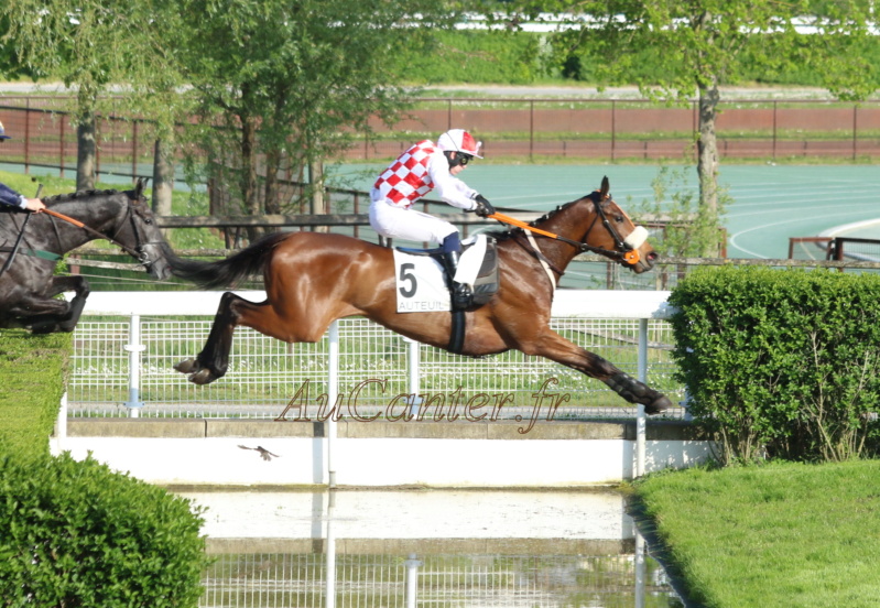 Photos Auteuil 29-04-2023 5j6a6725