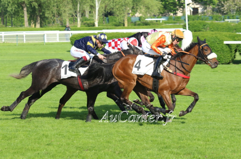 Photos Auteuil 29-04-2023 5j6a6811