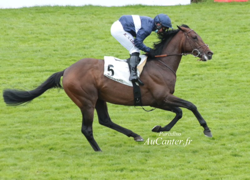 Photos Auteuil 23-05-2021 Grand Steeple Chase de Paris 5j6a7823