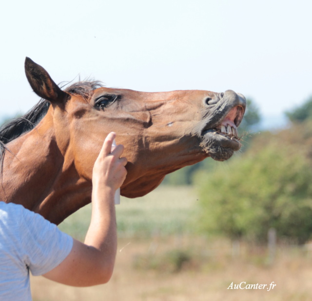 Jean-Victor Chaignon 5j6a8329