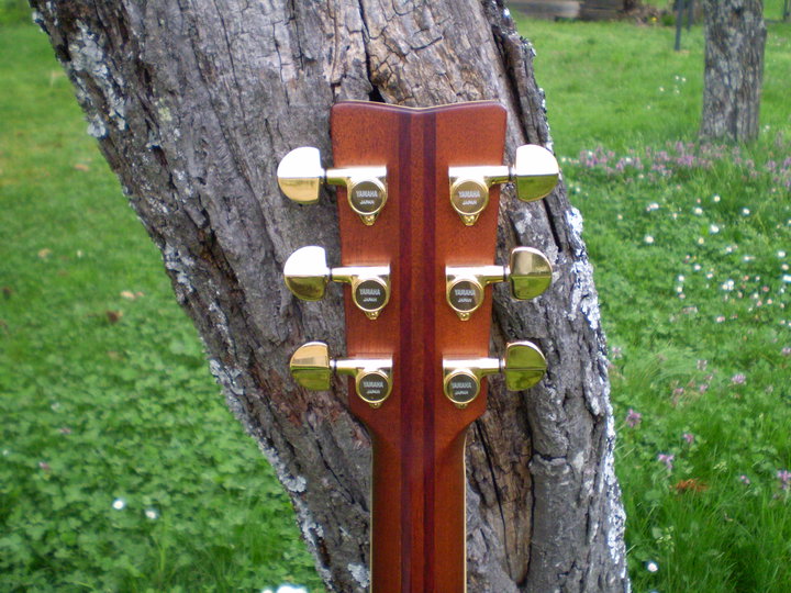 Ebony neck reinforcement VS Truss Rod - Page 2 31382_10