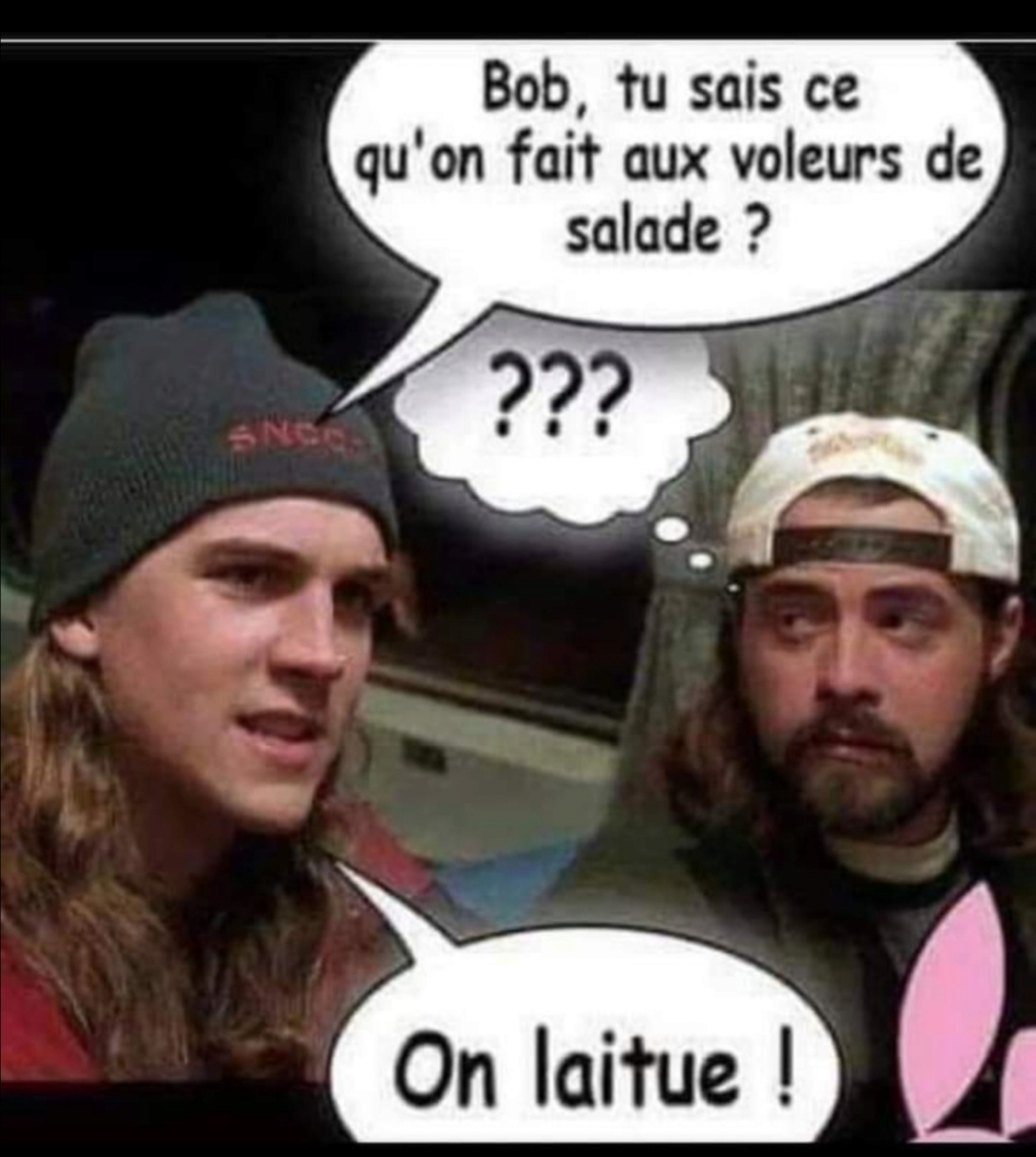 Humour en image du Forum Passion-Harley  ... - Page 21 Img-2028