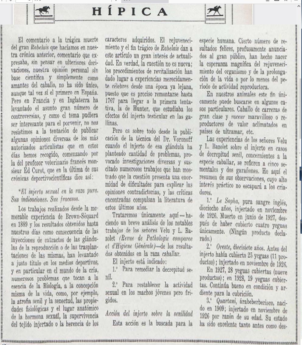 HACE 30 AÑOS - 1994 -  .... MUCH BETTER era el MEJOR EN SUDAMERICA CAMPEÓN SUDAMERICANO - Página 2 1928-l10