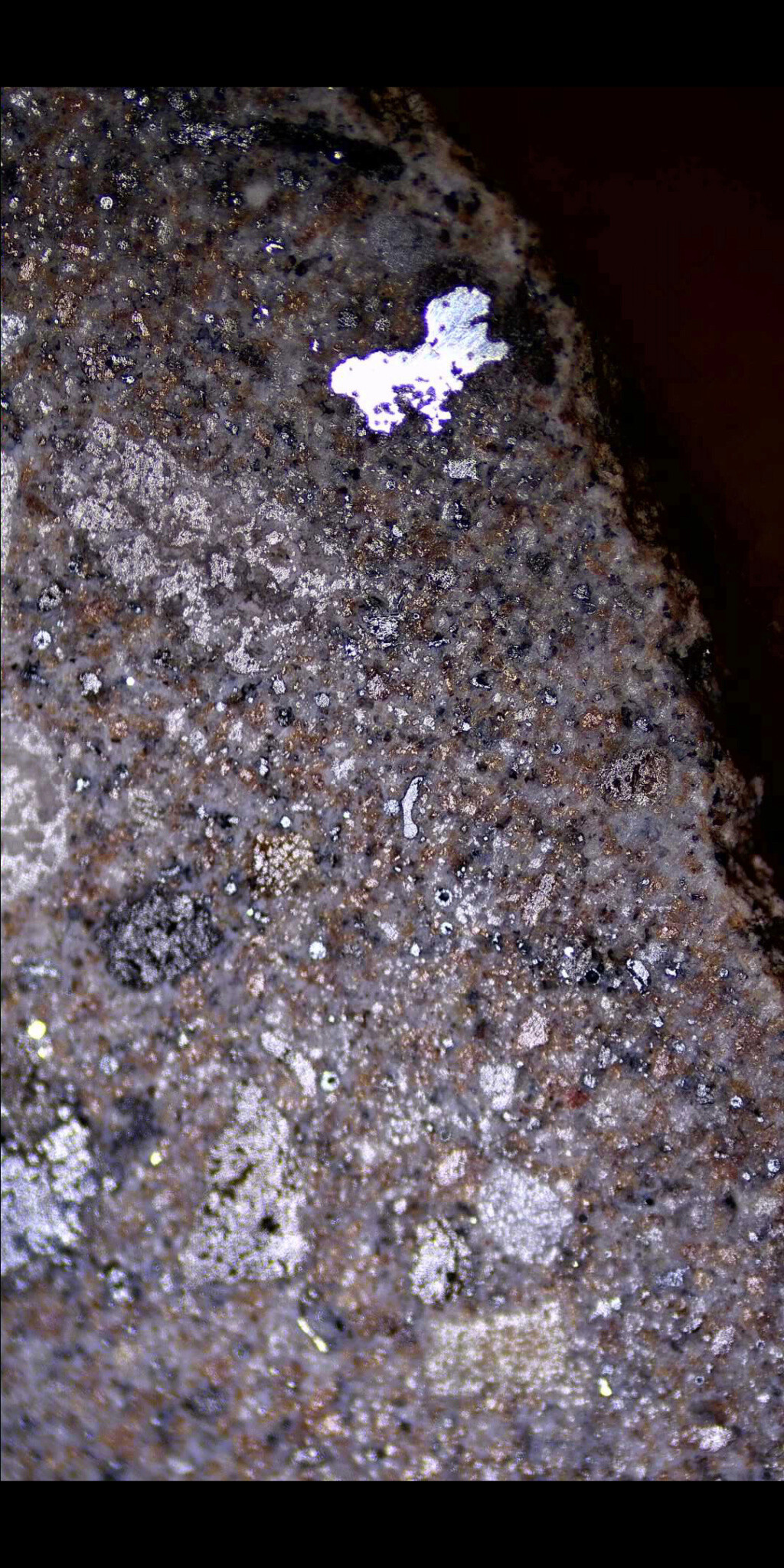 Уникальный метеорит Старый Scree318