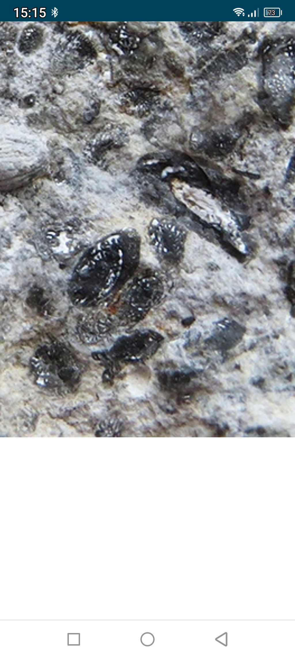 Метеориты Михалыча Scree741