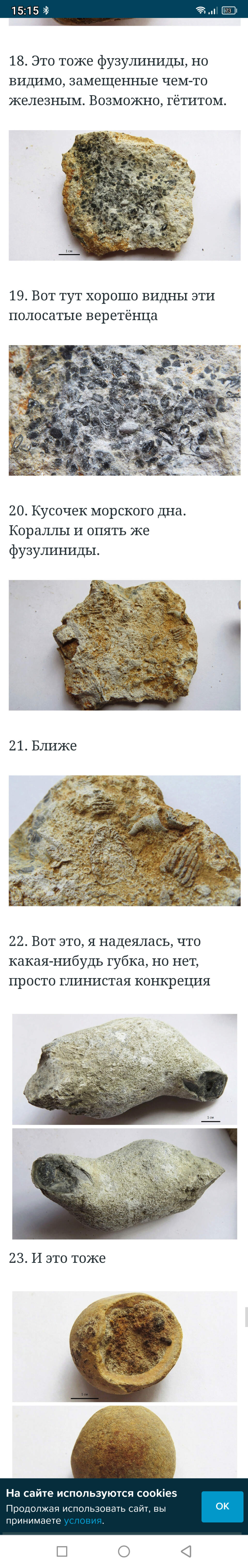 Метеориты Михалыча Scree742