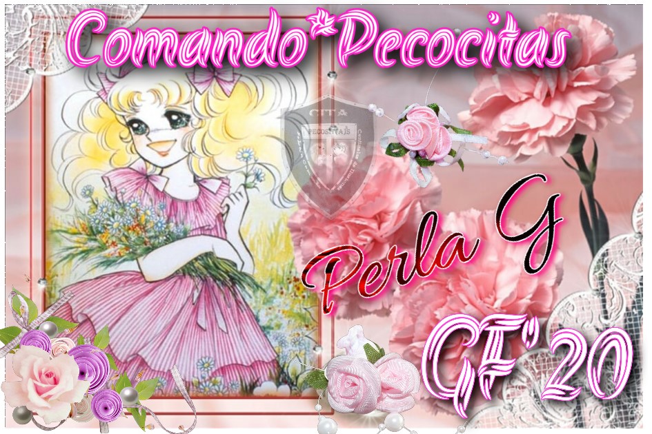 ENTREGADO Y CERRADO**PELOTÓN COMANDO PECOCITAS**QUINTO APORTE PARA CANDY**FIRMA DE REGALO**CANDY ROSA - Página 2 Perla13