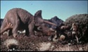 обзор тираннозавр и трицератопс 1:35 от TAMIA №60203 и №60201  _a__i_10
