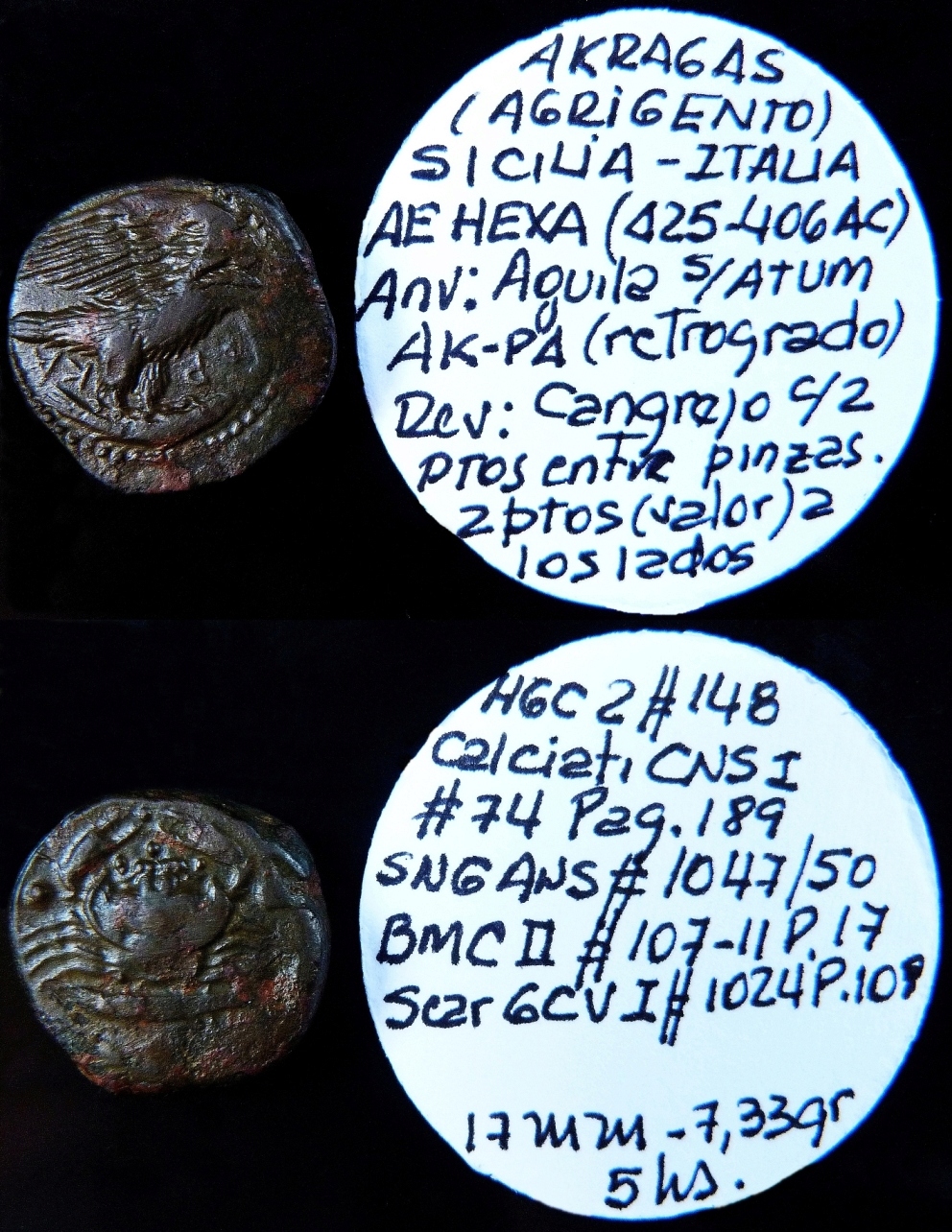 AE Hexa, AE Hemilitrón y AR Hemidracma de Akragas - Agrigento, Sicilia - Magna Grecia Cns_7410