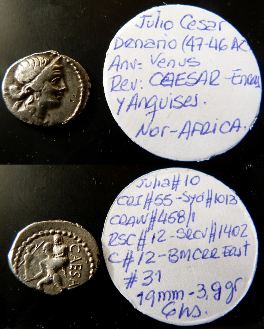 AR denario Julio Cesar - Eneas y Anquises Craw_413