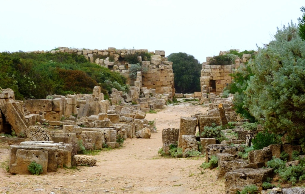 AE Hemilitrón de Selinos - Selinunte, Sicilia, Magna Grecia P1000711