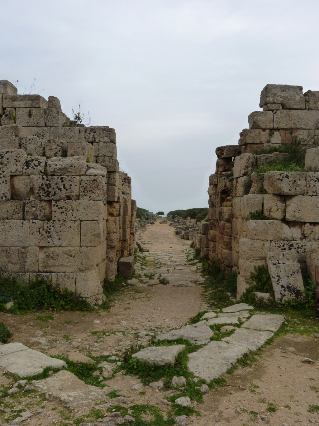 AE Hemilitrón de Selinos - Selinunte, Sicilia, Magna Grecia P1000712