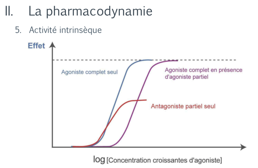 pharmacodynamie Captur36