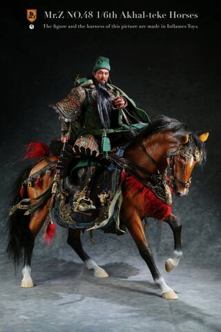 1/6th scale Horses, general discussion 10012010