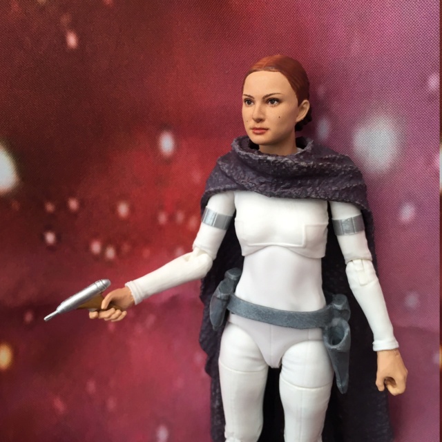 Skywalkersaga's 1/12 scale Star Wars figures  Img_0416