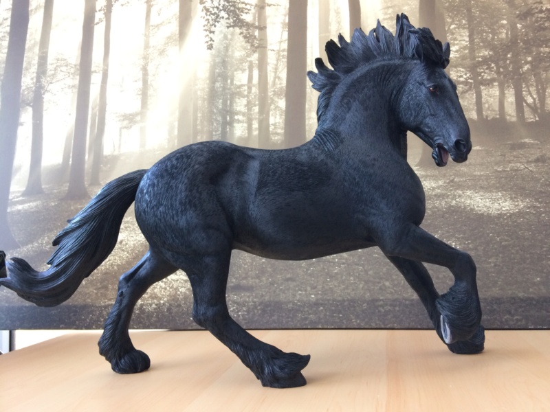 Mr.Z British Shire Horse 005 (black version) - first impressions and in-hand pics  Img_7413