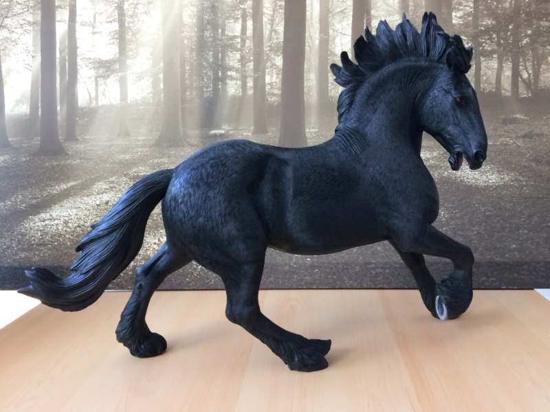 Mr.Z British Shire Horse 005 (black version) - first impressions and in-hand pics  Img_7420