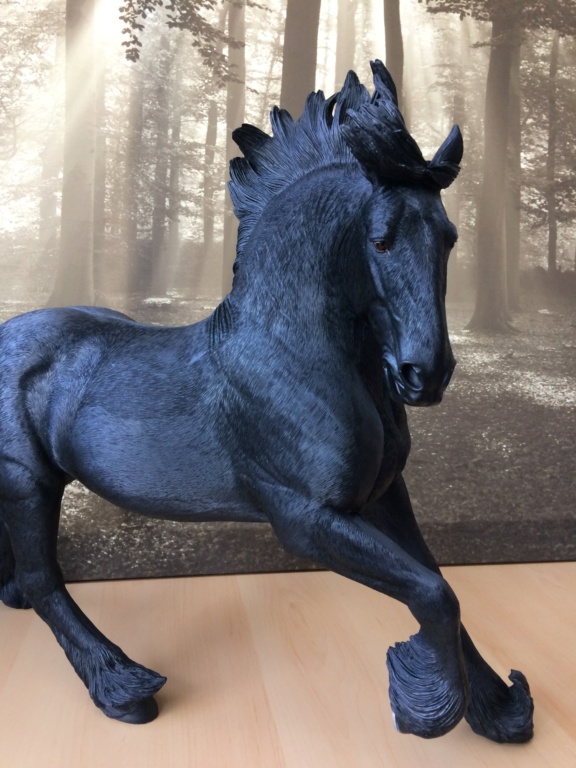Mr.Z British Shire Horse 005 (black version) - first impressions and in-hand pics  Img_7435