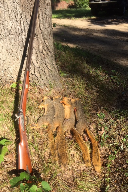 Squirrel gun  Bp_squ10
