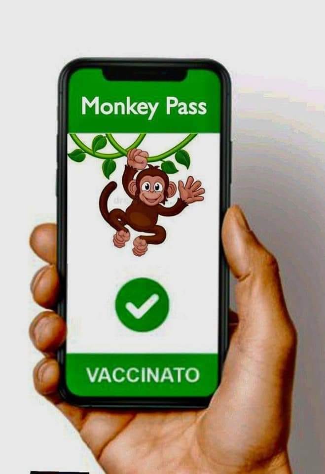 Het nieuwe apenpokken virus 28170810