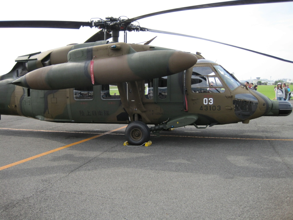 Photos UH-1/ Cobra / Apache / Ho Photo_19