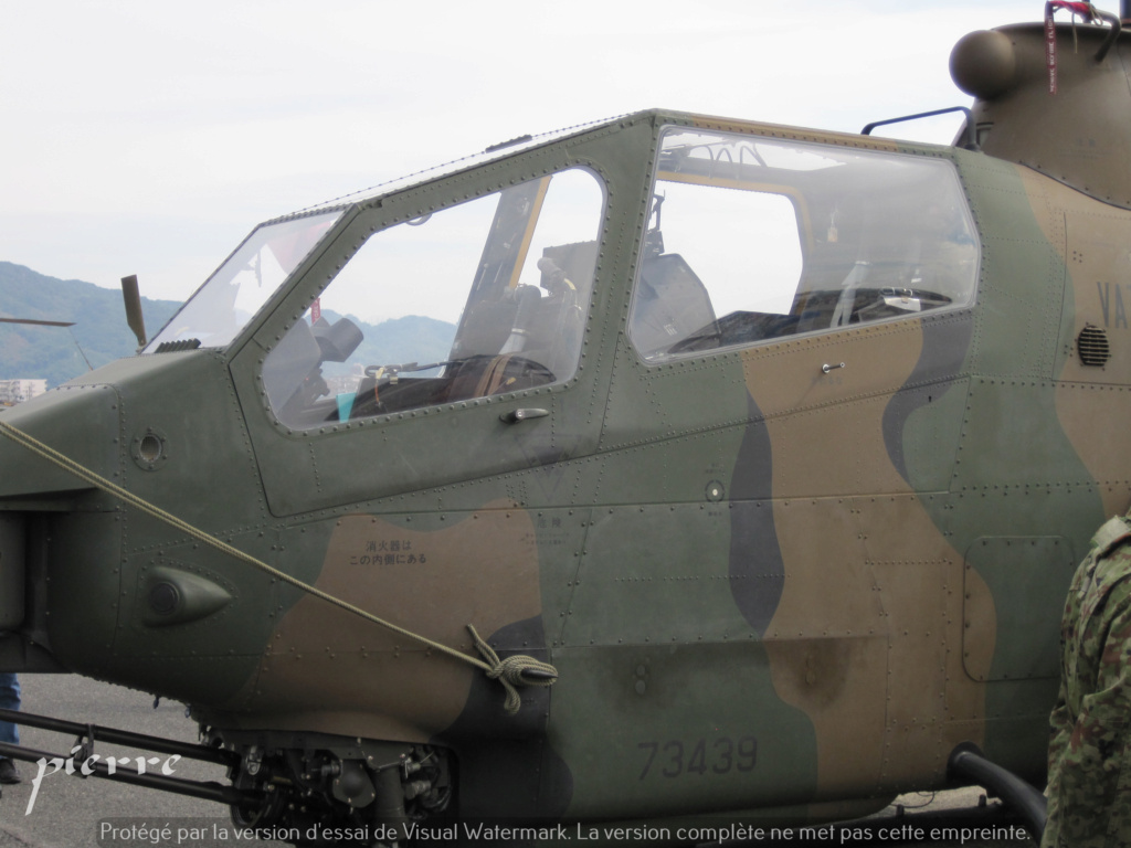 Photos UH-1/ Cobra / Apache / Ho Photo_42