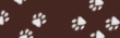 Pas de nouveaux messages