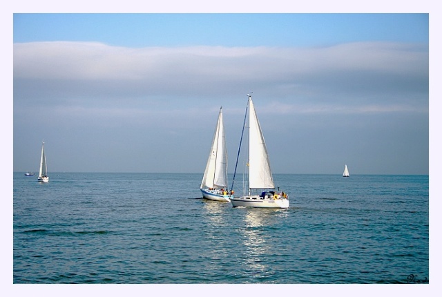 Une petite journée à la mer ( Nieupoort) 148_9210