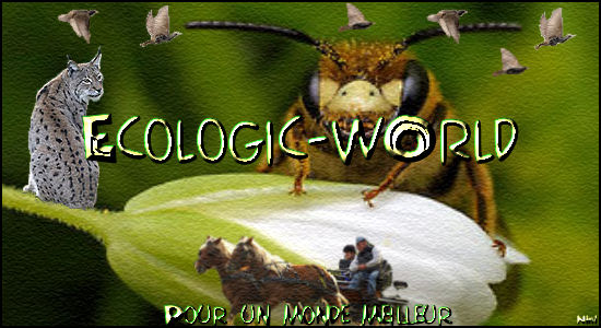 ¤ Ecologic & ZanimOs  World... ¤