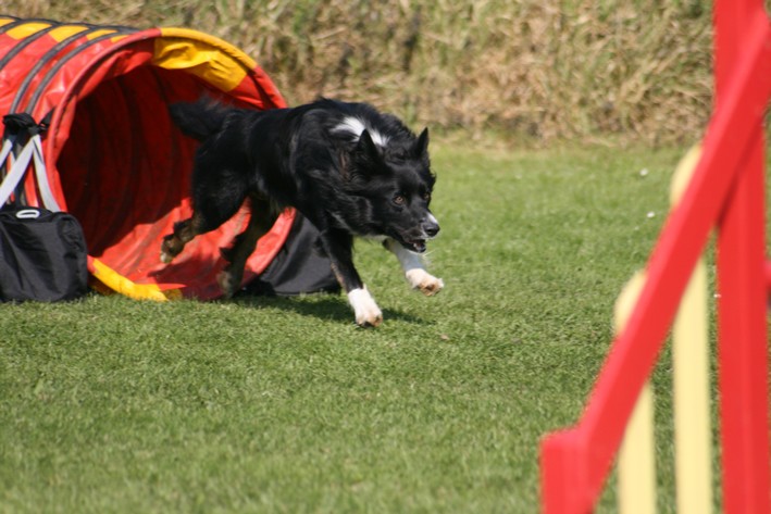 Photos Rocourt 22/9/07 Hd910