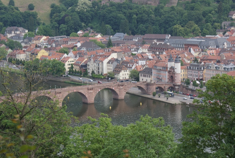 Le Pont Karl-Theodor à Heidelberg Dsc03747