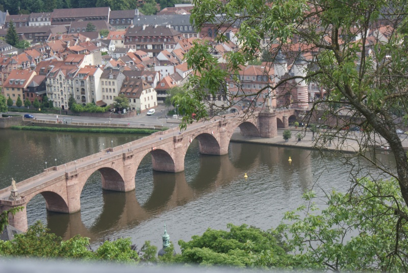 Le Pont Karl-Theodor à Heidelberg Dsc03752