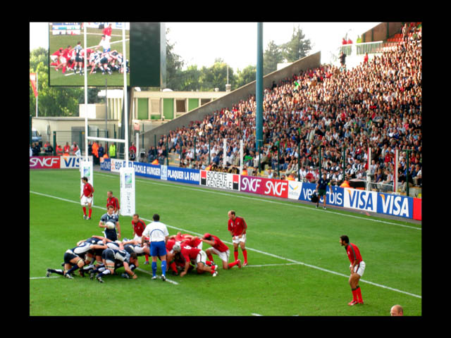 Coupe du Monde de rugby Dsc02715