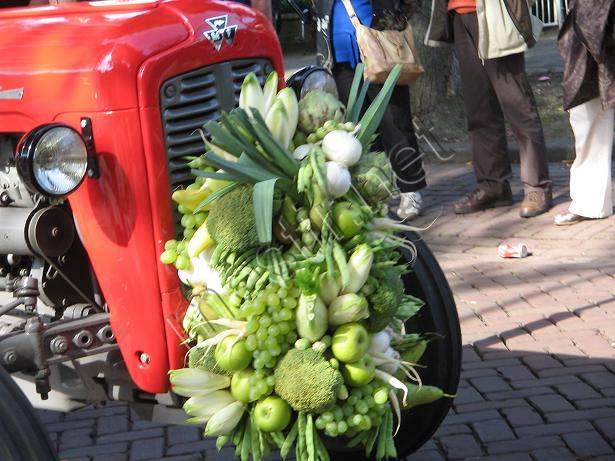 La grande parade des fruits et légumes Mestir43