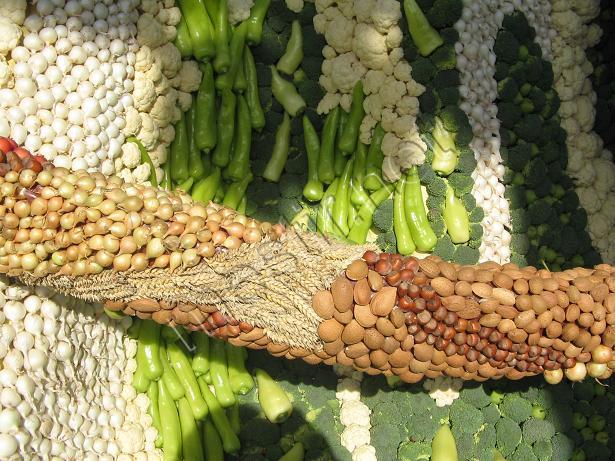 La grande parade des fruits et légumes Mestir90