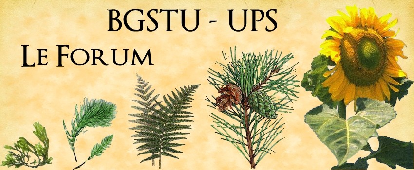 bgstu-ups