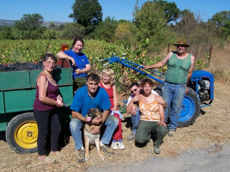 PP6D aux vendanges 102_2011