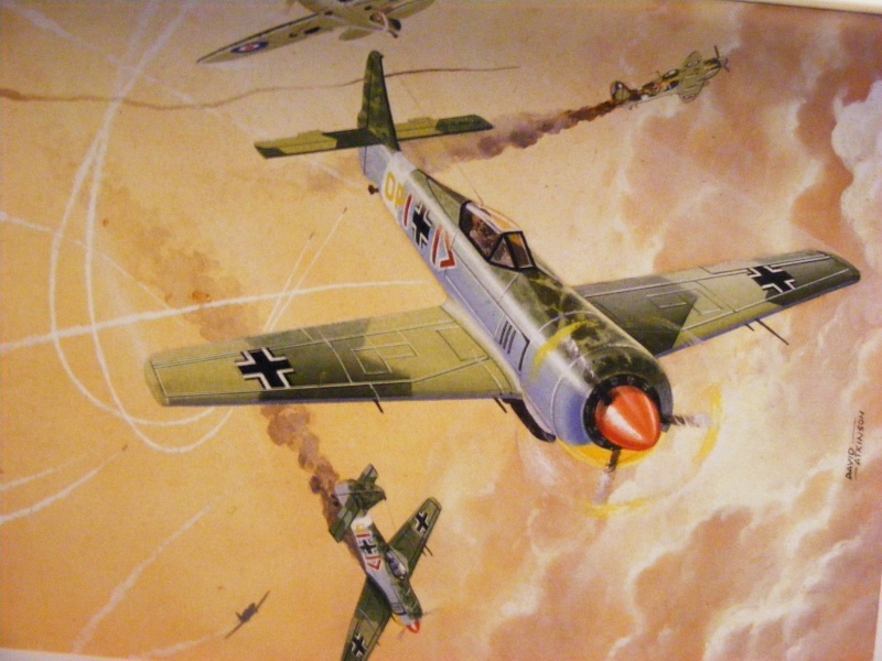 [Tri-ang] Focke Wulf Fw 190 A-3 Dscf0619