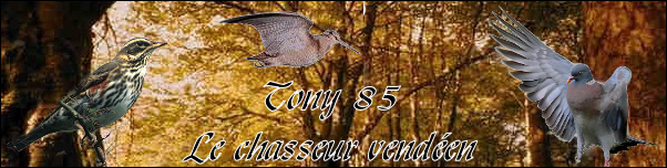 Migration palombes Tony10