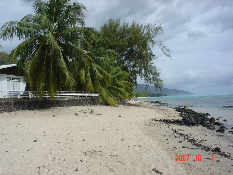 bonjour de tahiti Photo_11