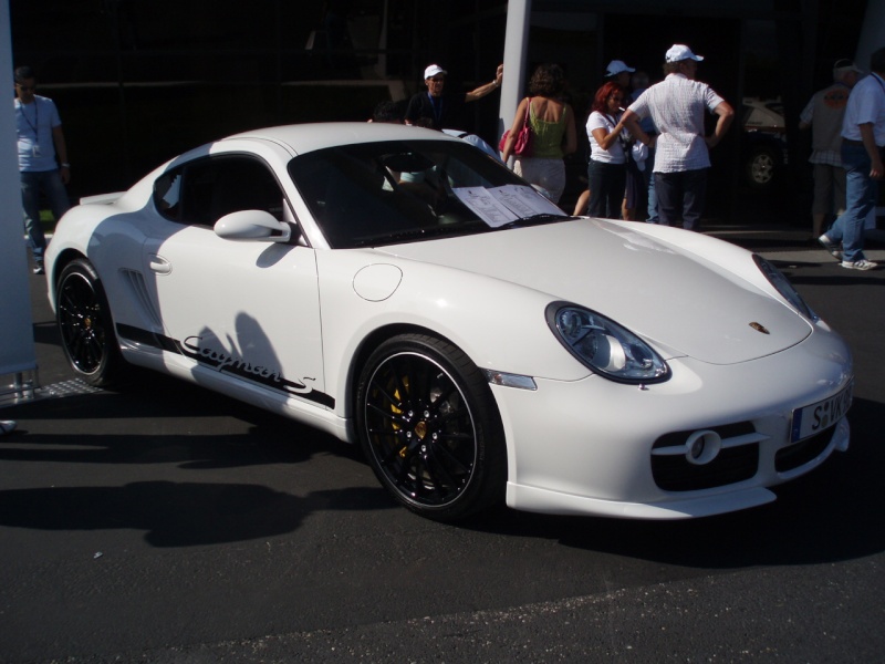 Festival Porsche au Castellet (les photos ici) - Page 6 P9150016