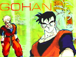 Mes cras Gohan_14