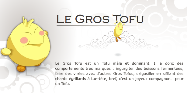 Tofu Image_31