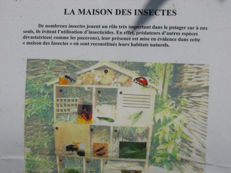 Maison des Insectes ... Img_6911