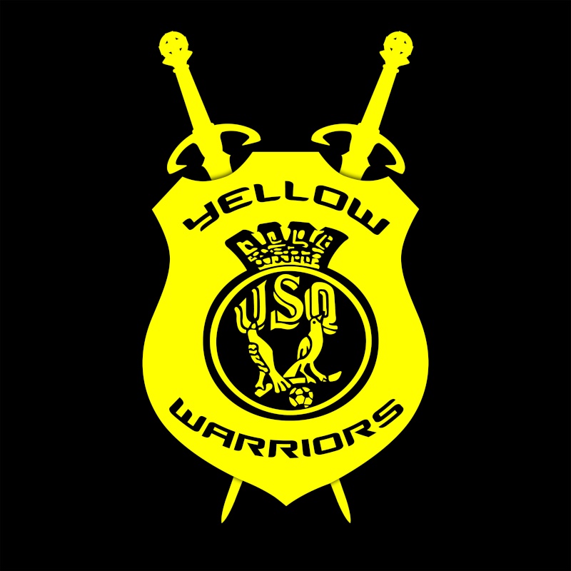créations sur les yellow warriors ou sur l'usq Logo_y13