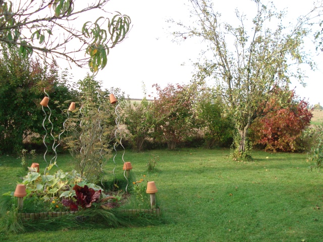 le jardin de Giroflee - Page 6 Jardin25