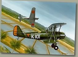 Koolhoven FK-51  (Special Hobby) Postma10