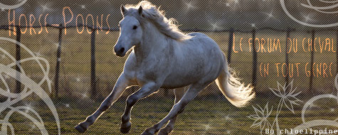Horse-Poons
